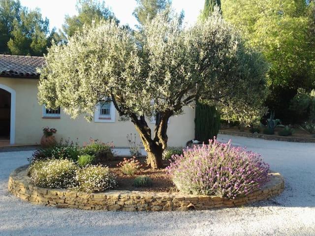 Vila Maison Privee Au Calme Dans Mas Provencal Sanary-sur-Mer Exteriér fotografie